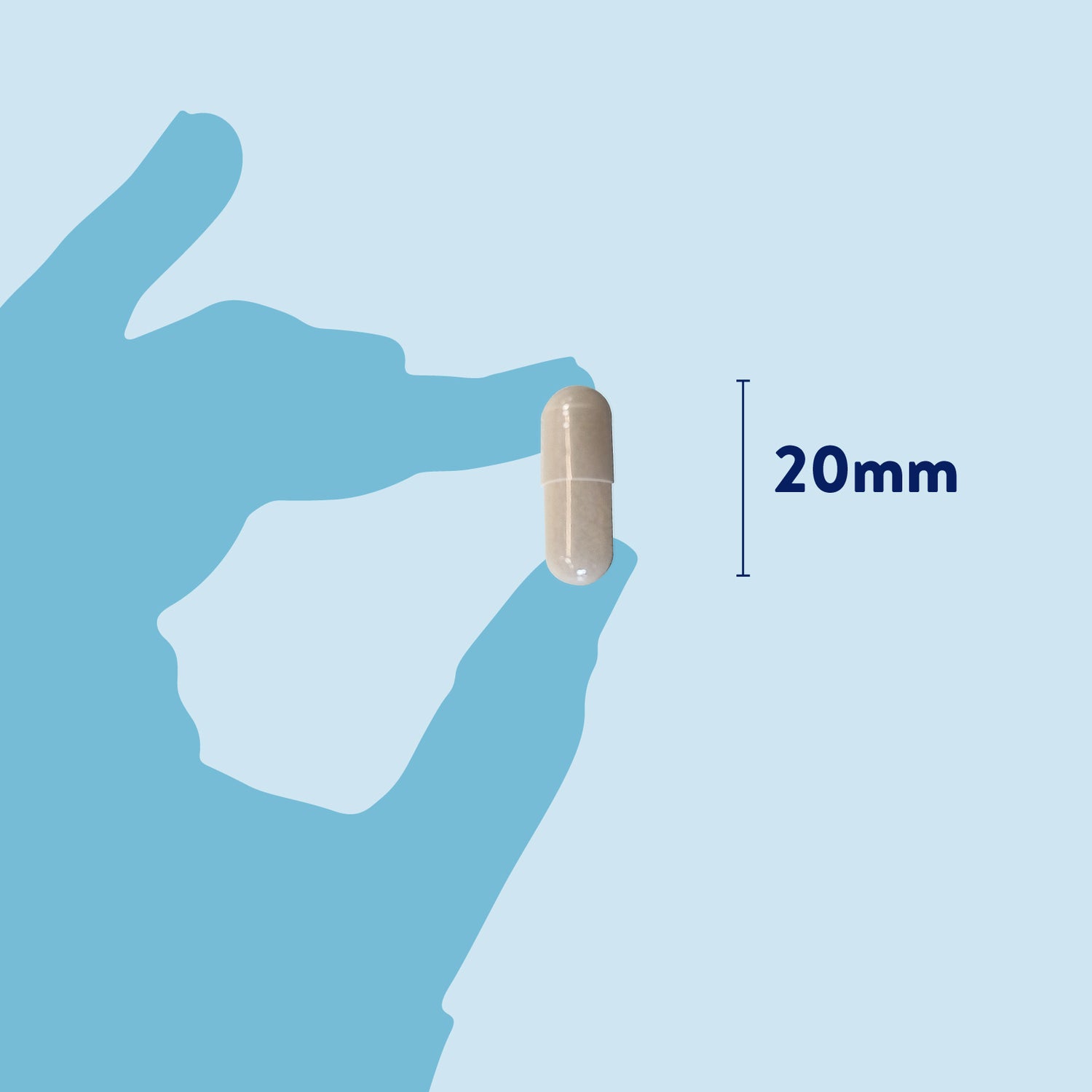 Dorwest Probiotic Plus Tablets showing capsule size 20mm long