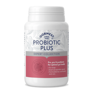 5060183511873 Dorwest Probiotic Plus Tablets x 100